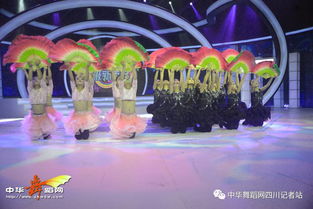 舞韻綻芳華，星光啟航藝術(shù)培訓(xùn)學(xué)校攜《陌上花開(kāi)》亮相四川廣播電視臺(tái)超級(jí)新秀場(chǎng)
